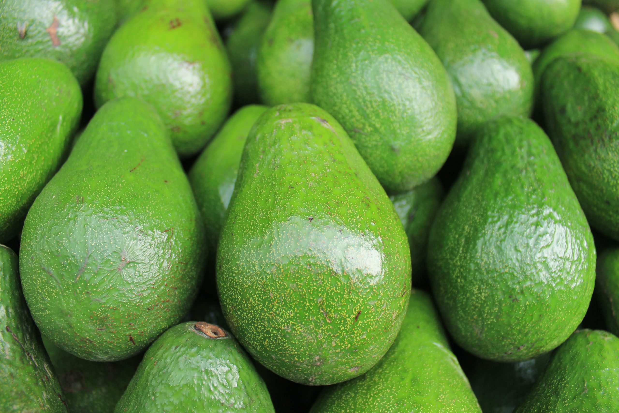 green fruit vegan food delivery