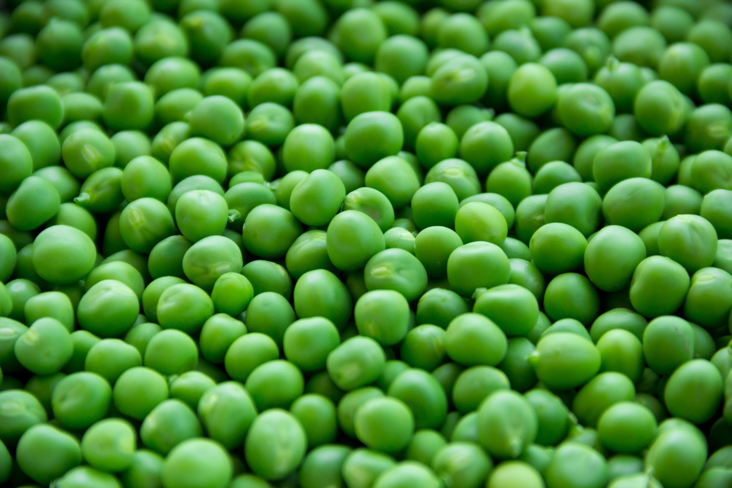 peas Vegan food Virginia beach