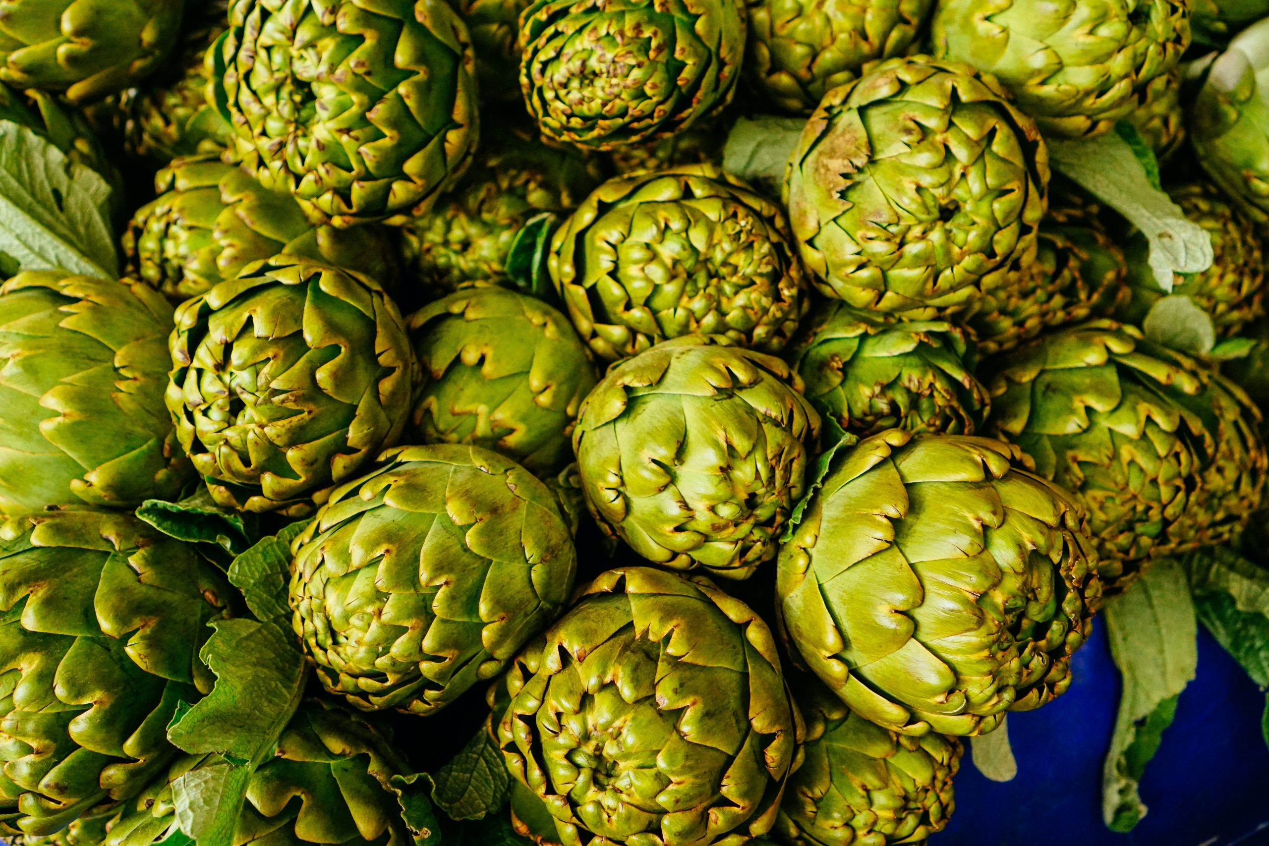 artichokes Vegan food Virginia beach