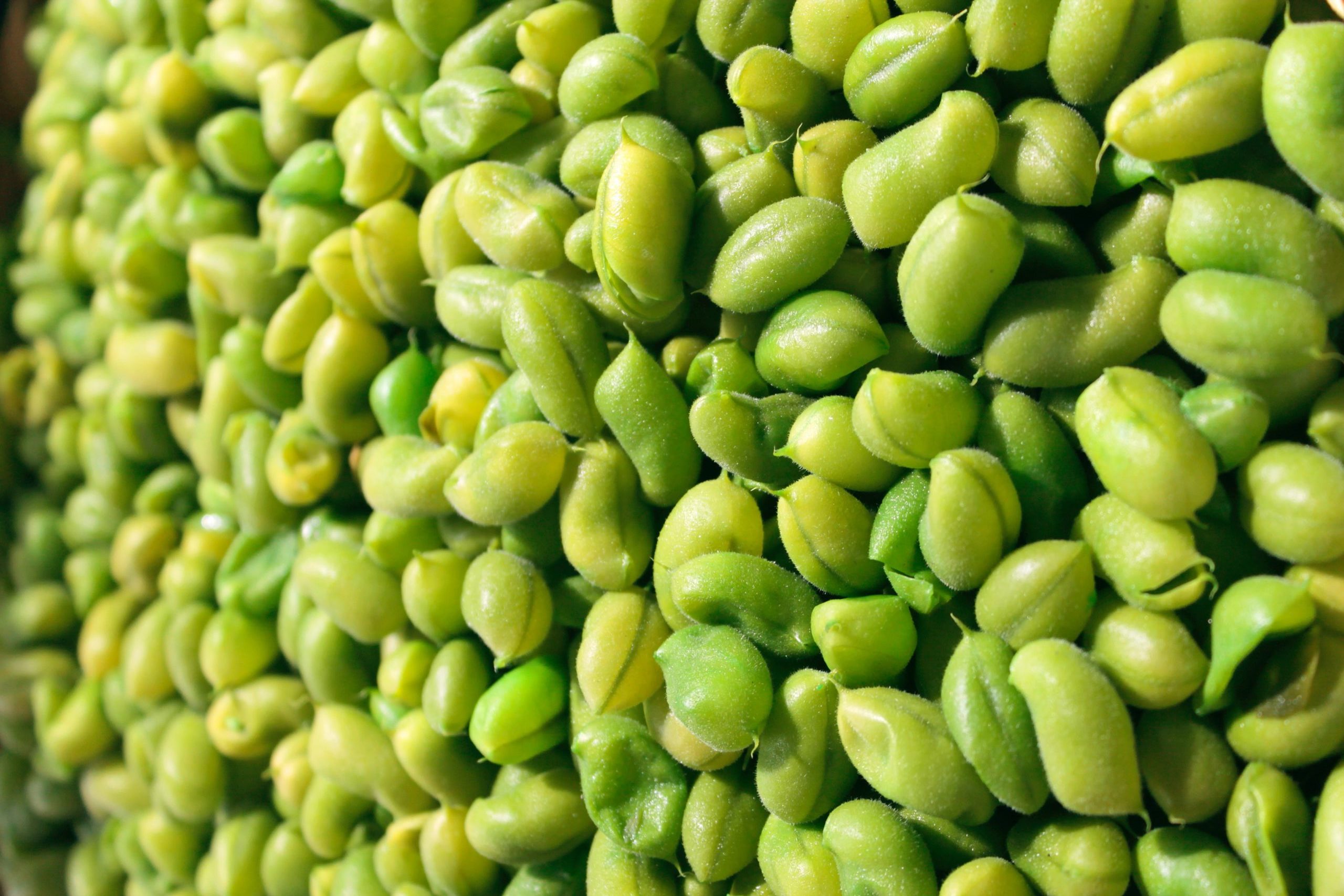 plant based food vegan chef local shopping