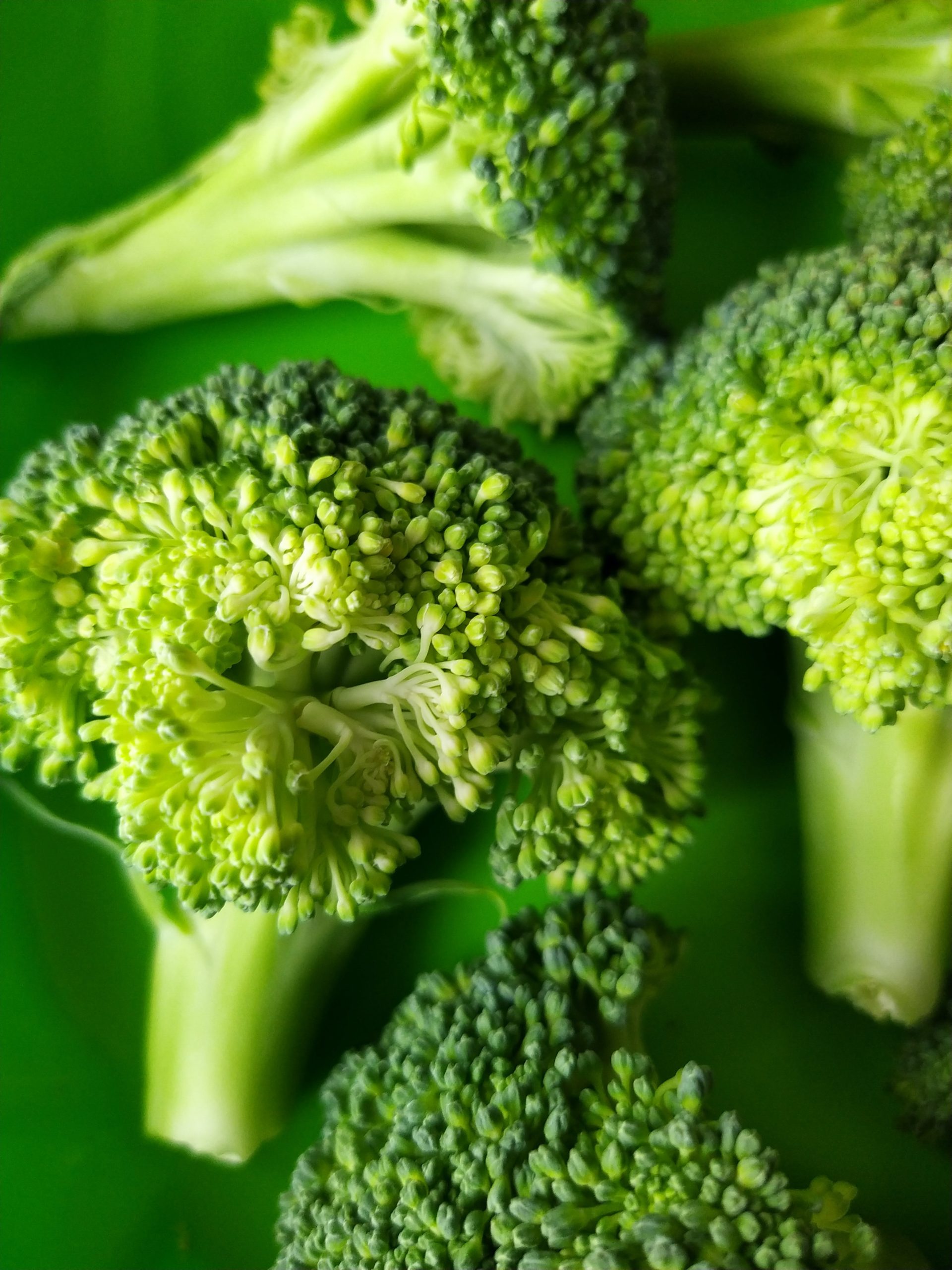 vegan-food-delivery-broccoli plant based food broccoli recipes