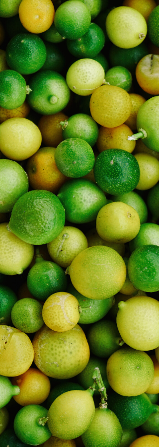 https://pb-eatz.com/wp-content/uploads/2020/05/plant-based-food-limes.png