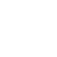 White icon of a shield